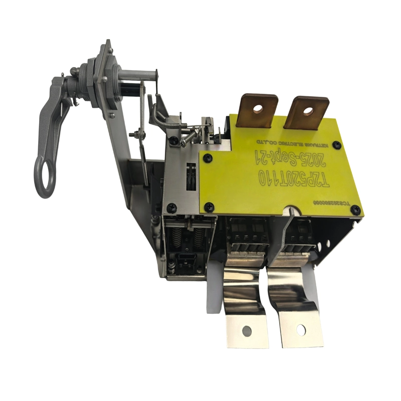 Disjoncteur monophasé 520A CSP immergé en huile 125KVA vue de marquage de polarité de la borne